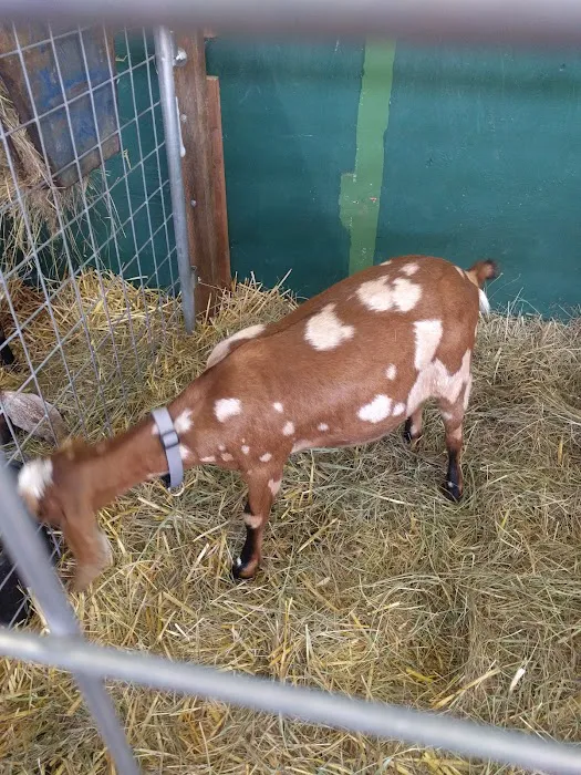 Jefferson County Fairgrounds Picture 10
