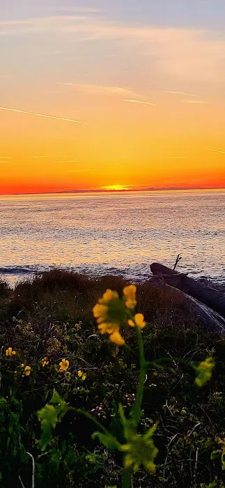 Fort Worden State Park Forest Campground Picture 2