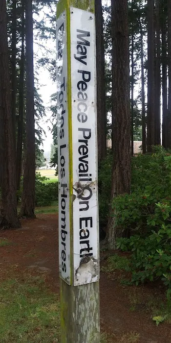 Fort Worden State Park Forest Campground Picture 1