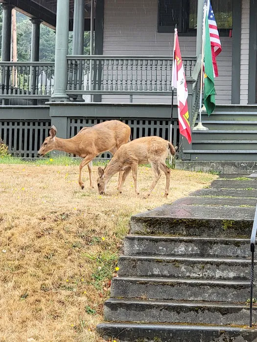 Fort Worden State Park Forest Campground Picture 8