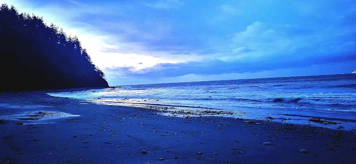 Fort Worden State Park Forest Campground Picture 3