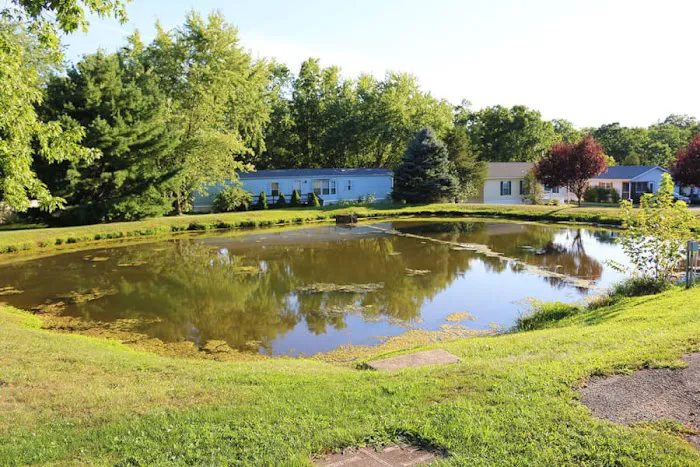 ABC Home Sales - Green Hill Picture 3
