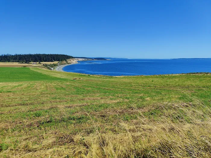 Lower Camp Area Picture 10