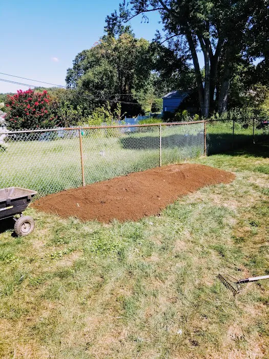 Village Green Picture 6