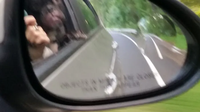 Village Green Picture 5