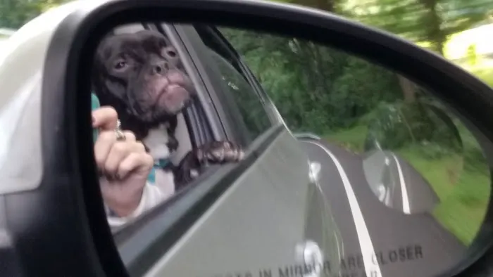 Village Green Picture 2