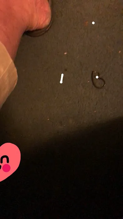 Village Green Picture 1