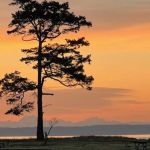 Fort Worden State Park Beach Campground