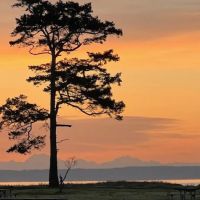 Fort Worden State Park Beach Campground ico