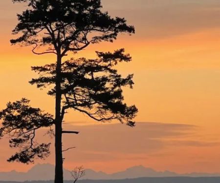 Fort Worden State Park Beach Campground
