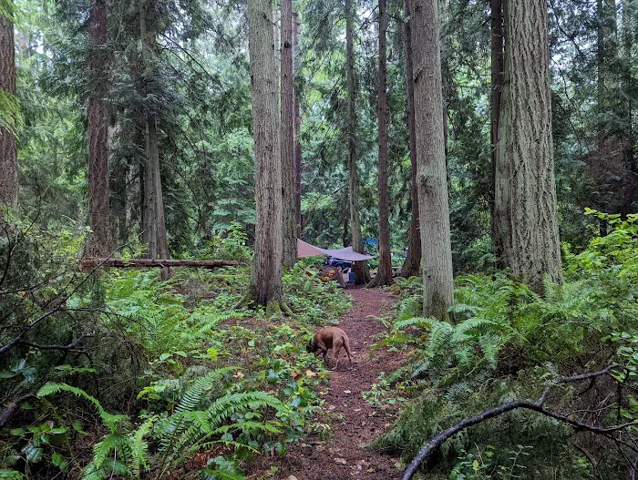 Fort Flagler Upper Campground Picture 3