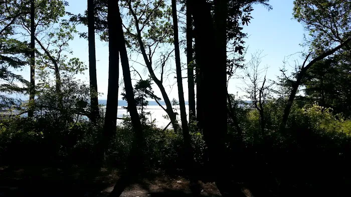 Fort Flagler Upper Campground Picture 8