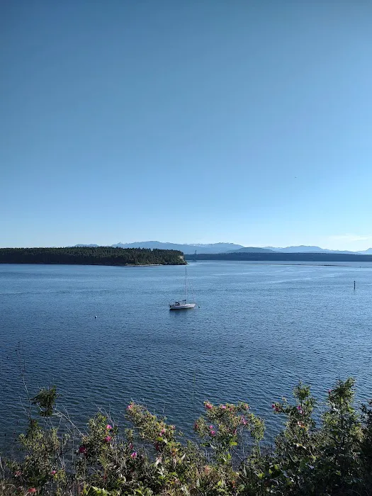 Fort Flagler Upper Campground Picture 4