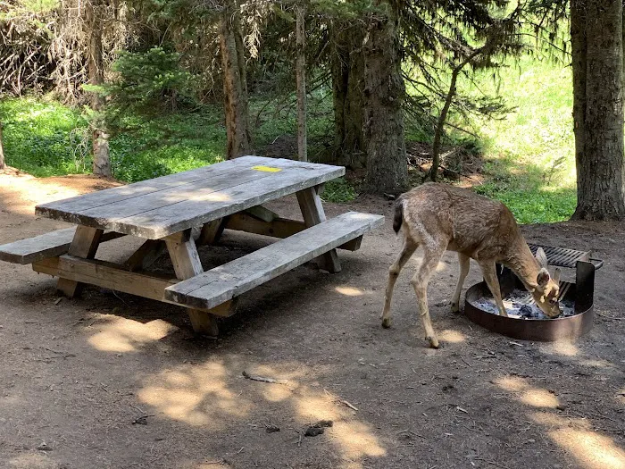 Deer Park Campground Picture 9