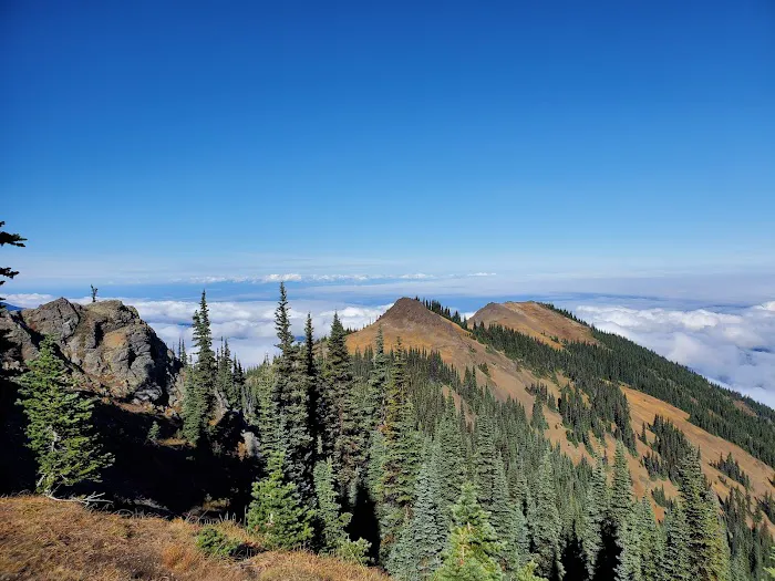 Deer Park Campground Picture 6