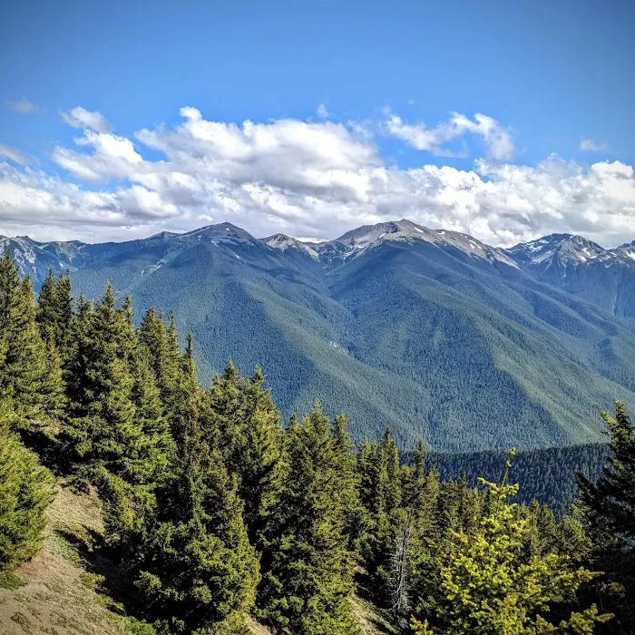 Deer Park Campground Picture 5