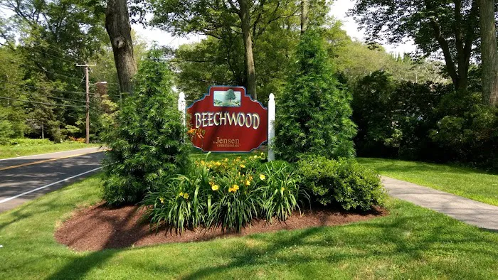 Beechwood Picture 3