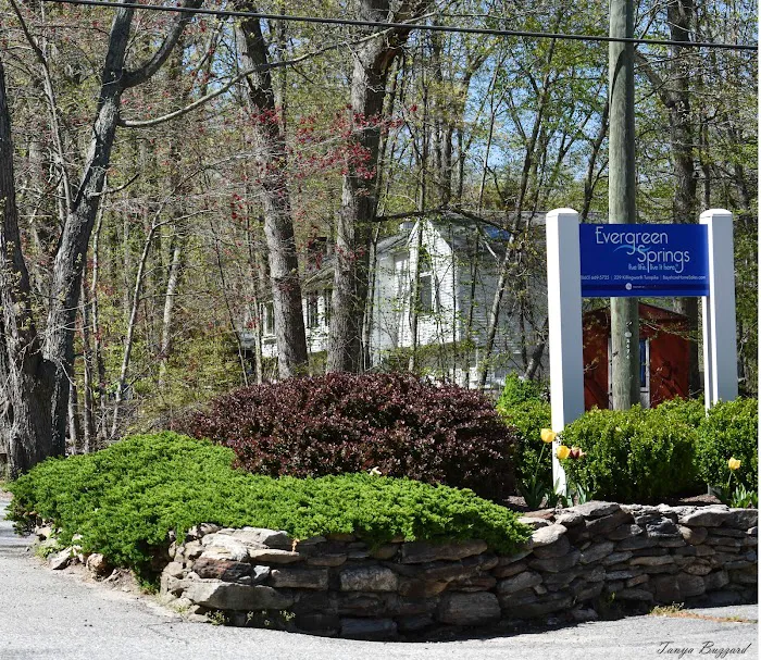 Evergreen Springs Manufactured Home Community Picture 4