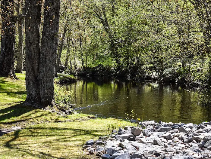 Evergreen Springs Manufactured Home Community Picture 10