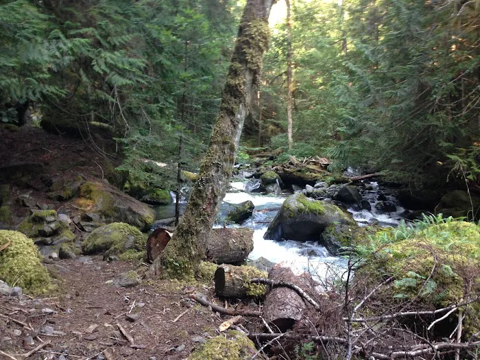 Three Forks Picture 5