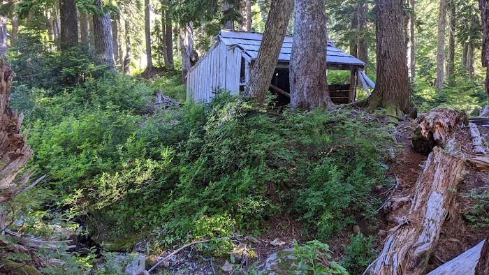 Camp Siberia Picture 3