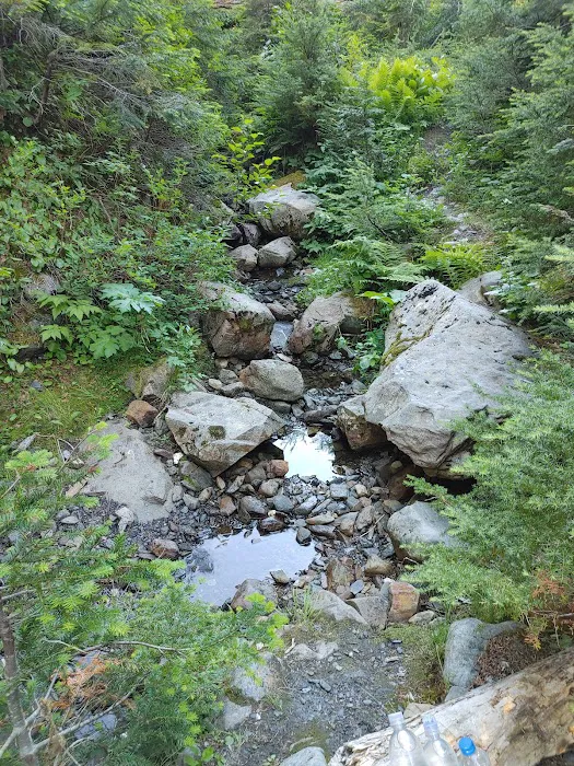 Camp Siberia Picture 8
