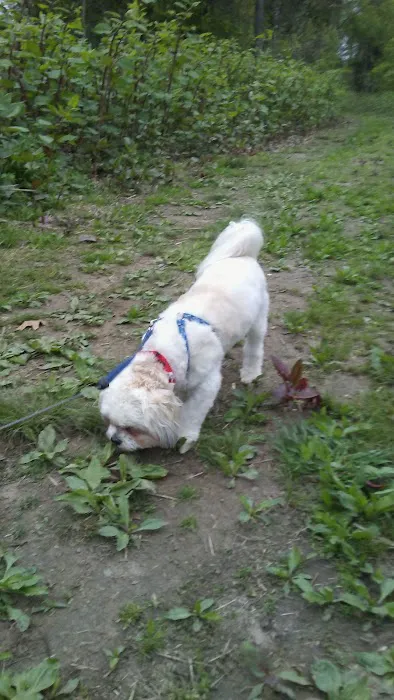 Village Park Inc Picture 3