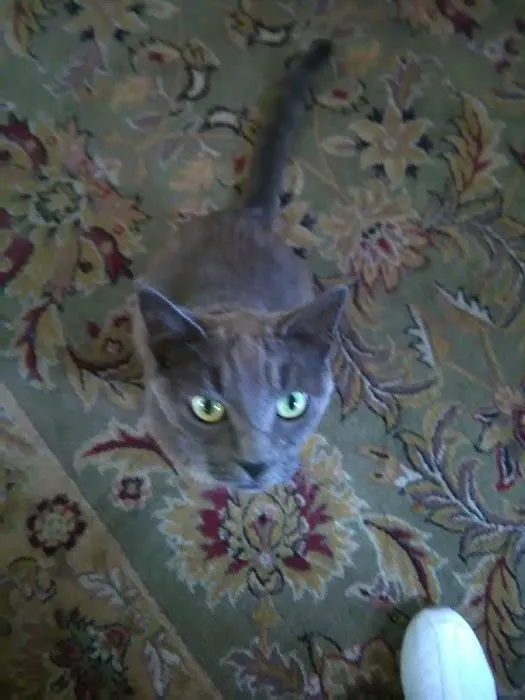 Village Park Inc Picture 1