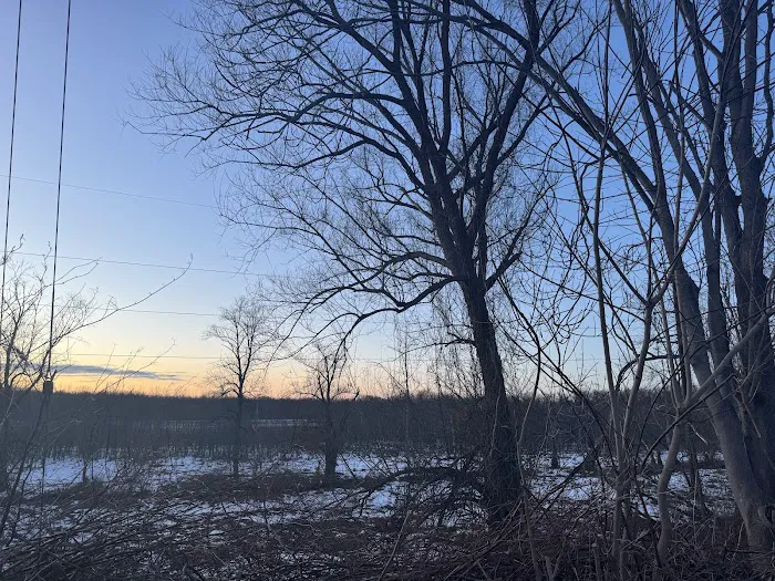 Village Park Inc Picture 8