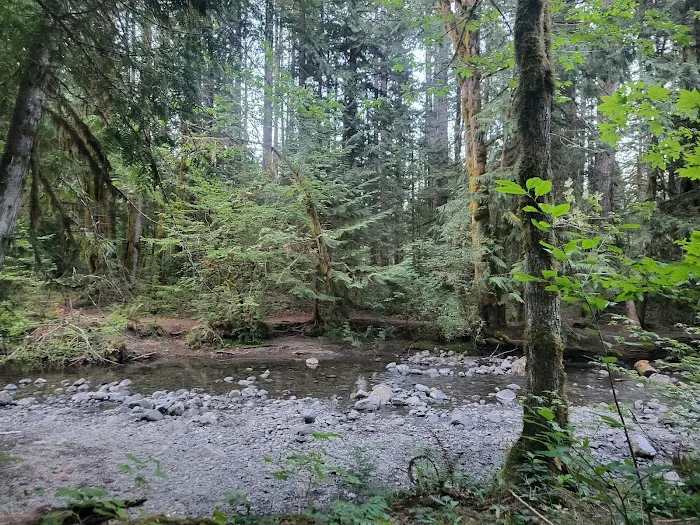 Big Creek Campground Picture 4