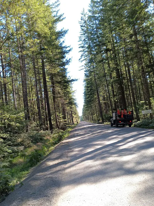 Big Creek Campground Picture 3