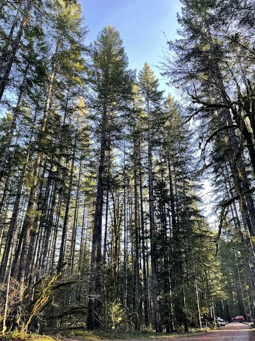 Big Creek Campground Picture 8