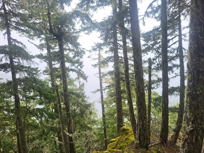 New England Village Picture 10