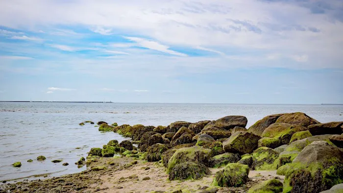 Grove Beach Picture 2