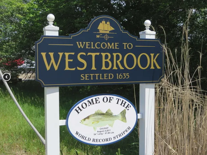 Grove Beach Picture 9