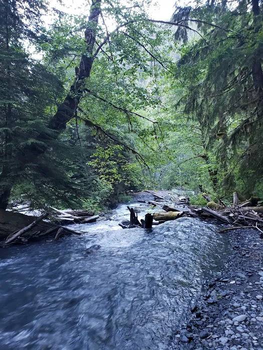 Nine Stream Picture 6