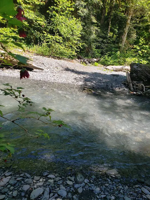 Nine Stream Picture 2