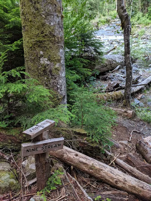 Nine Stream Picture 7