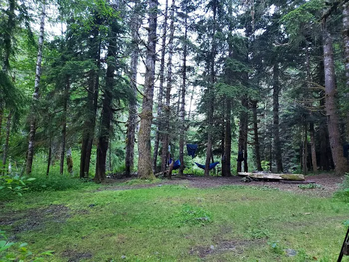Nine Stream Picture 4