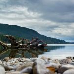 Mountain View Mobile Estates