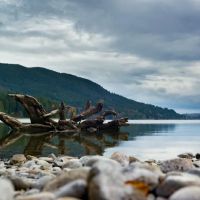 Mountain View Mobile Estates ico