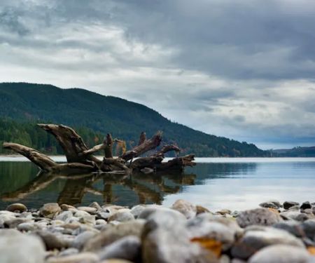 Mountain View Mobile Estates