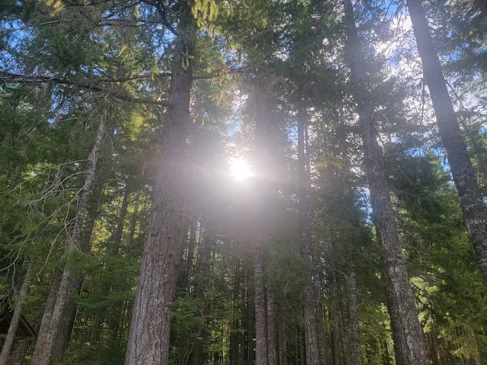 Mountain View Mobile Estates Picture 2