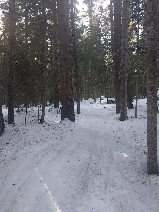 Pleasant Valley Campground Picture 2