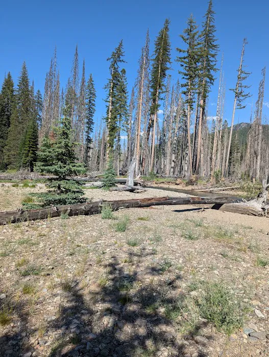 Pleasant Valley Campground Picture 10