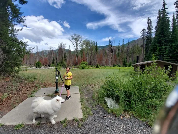Pleasant Valley Campground Picture 6