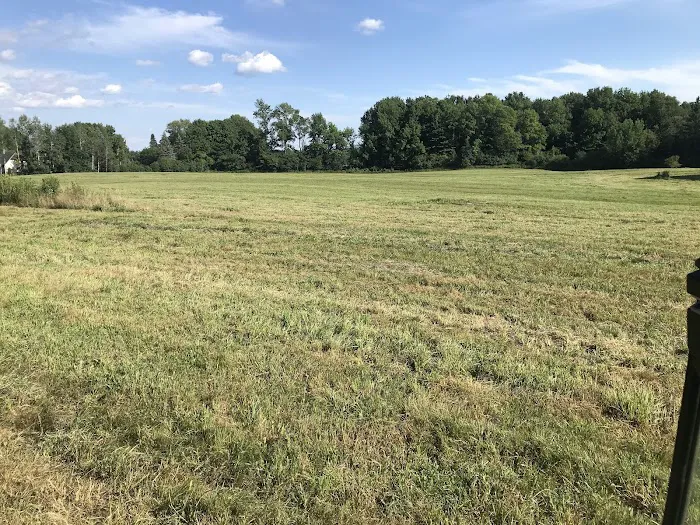 Salmon Cove Group Campground Picture 6