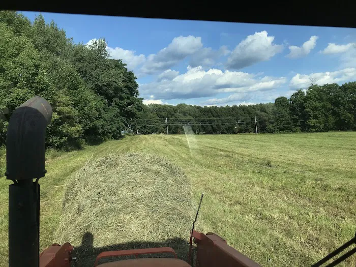 Salmon Cove Group Campground Picture 2