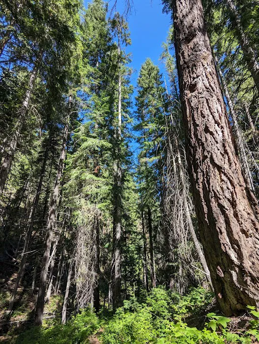Hells Crossing Campground Picture 5