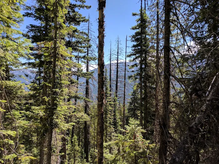 Boat Landing Campground Picture 4